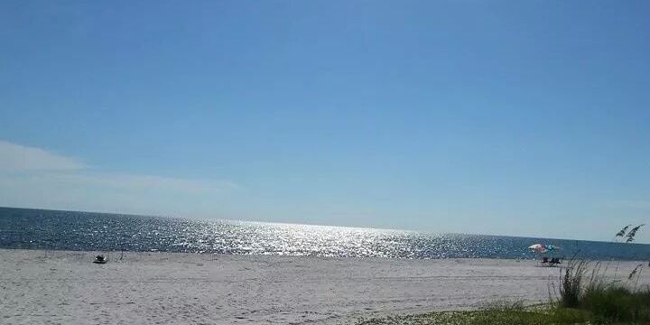 Kristie_Lucas's profile banner image