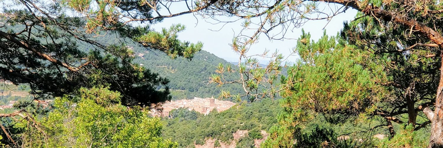 Anna Espasa 🎗️ banner