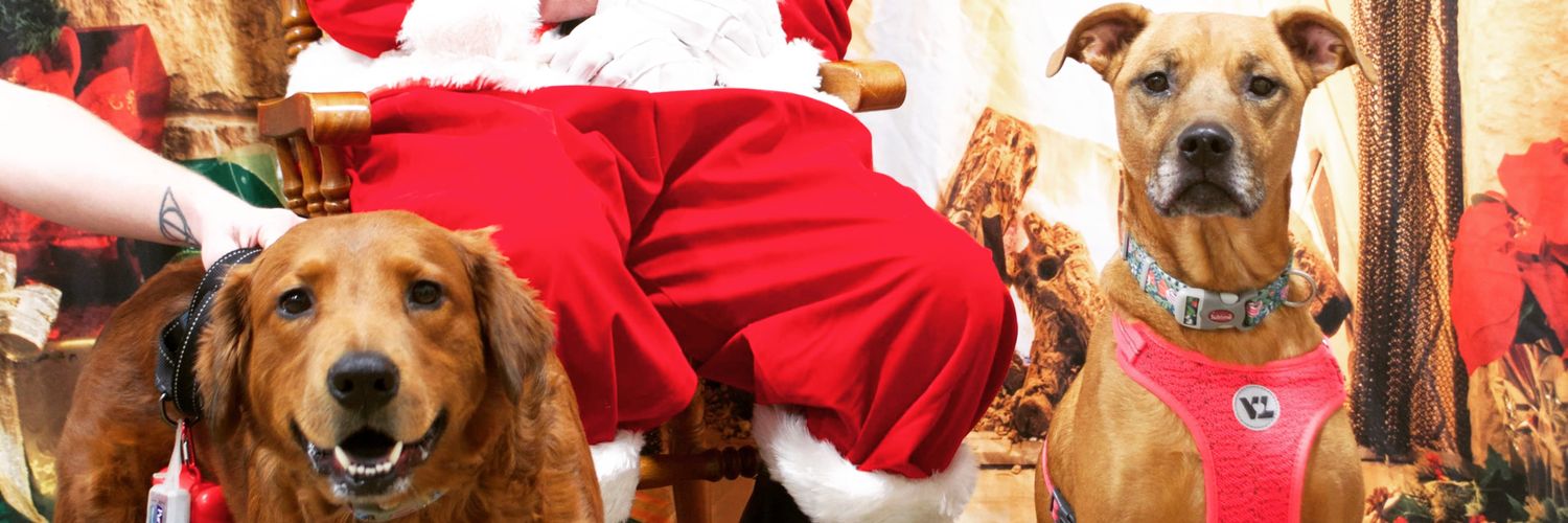MckenzieSkipper's profile banner image