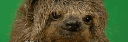 FerFJones's profile banner image