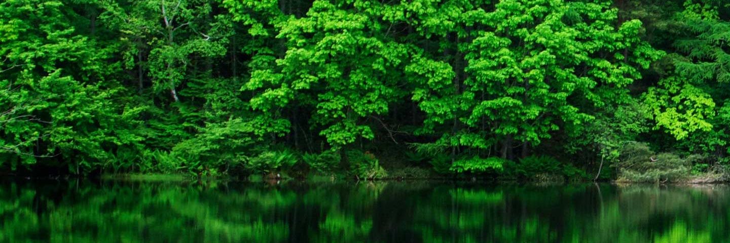 johnjayme993's profile banner image