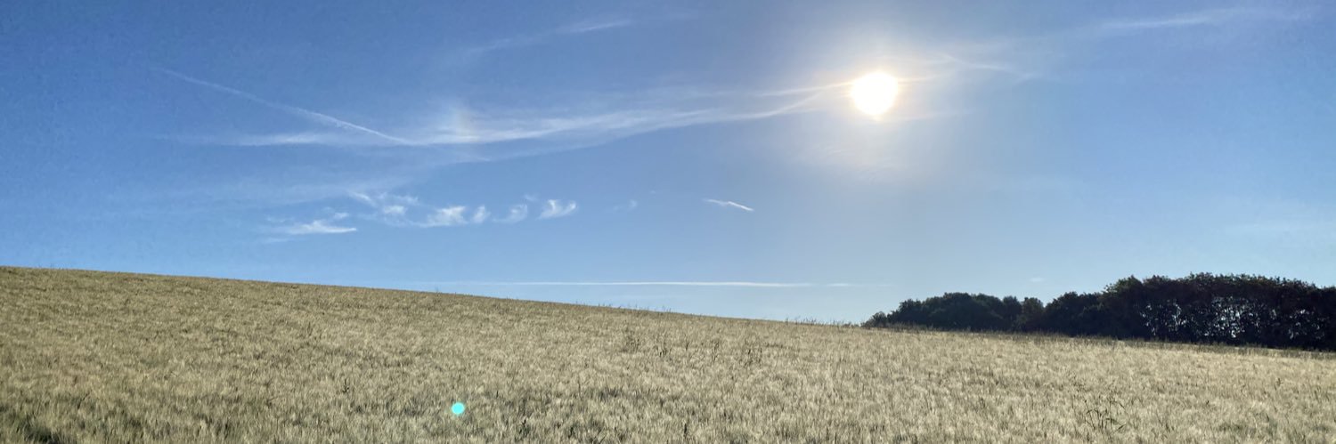 BeagleandMe's profile banner image