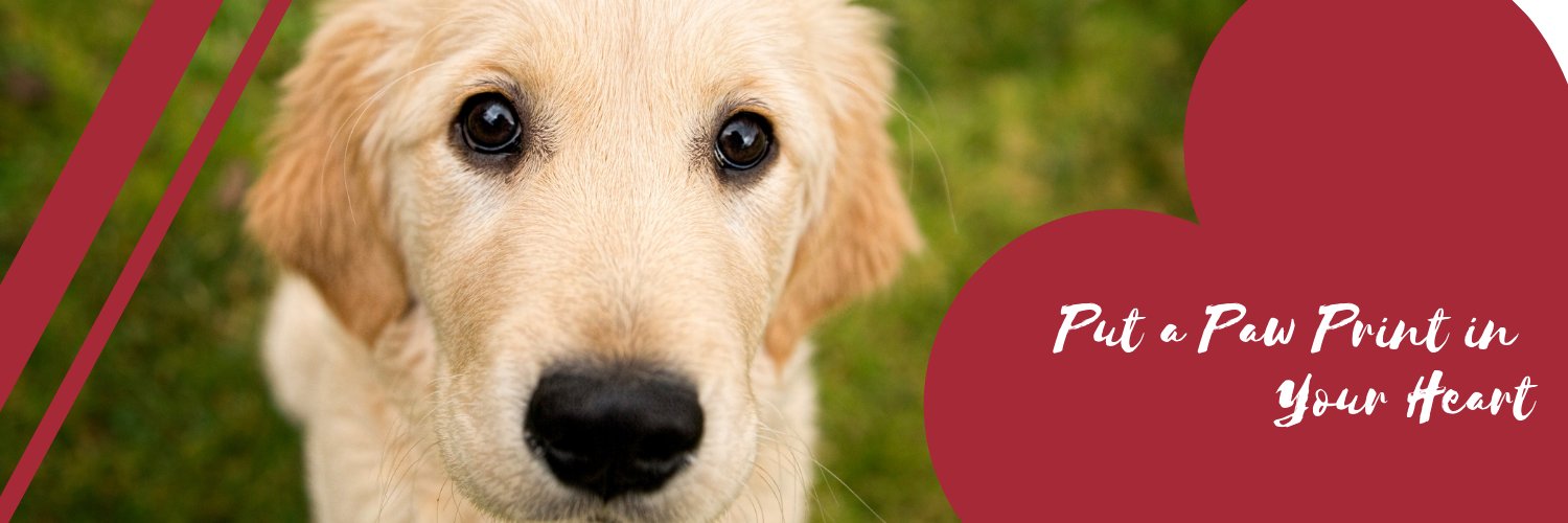 DFW Humane Society banner