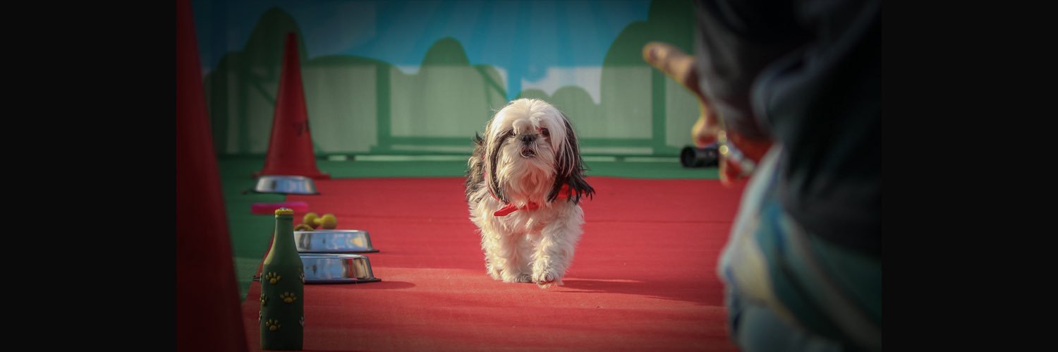 Santhosh | beingsanthosh.near banner