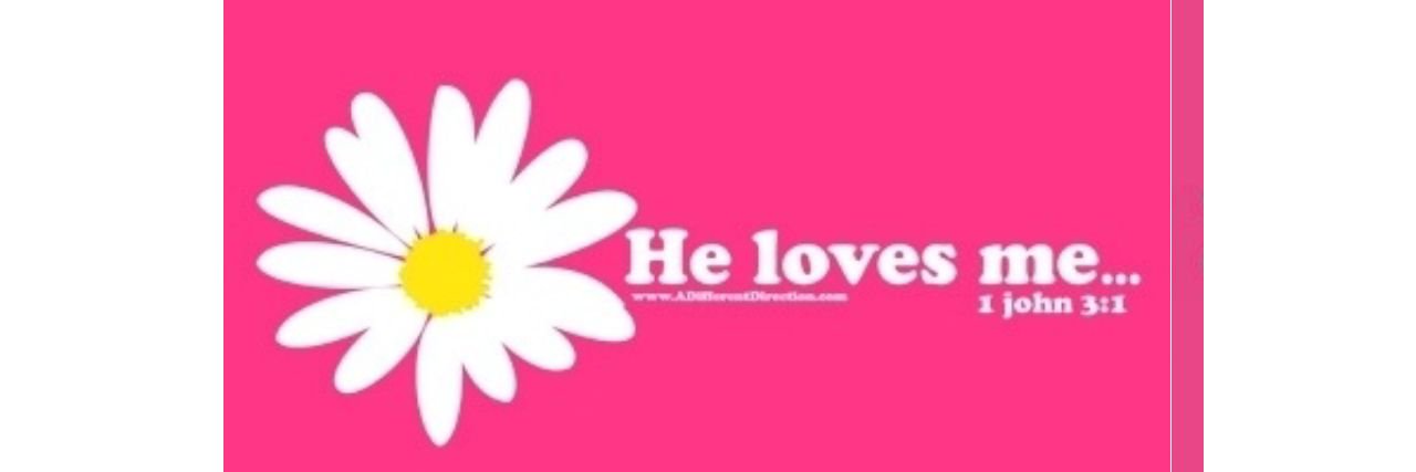 KSdaisy's profile banner image