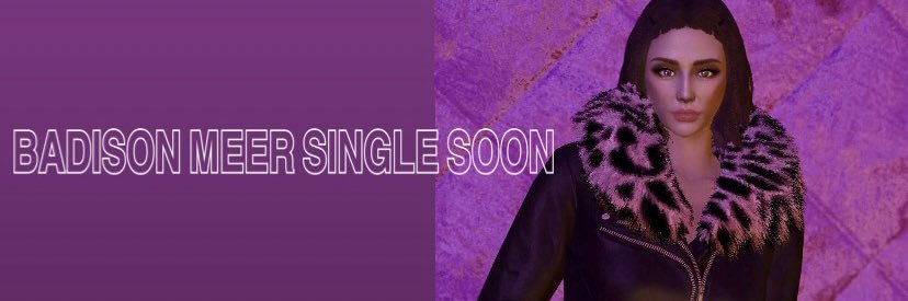 Badison Meer ❁ banner