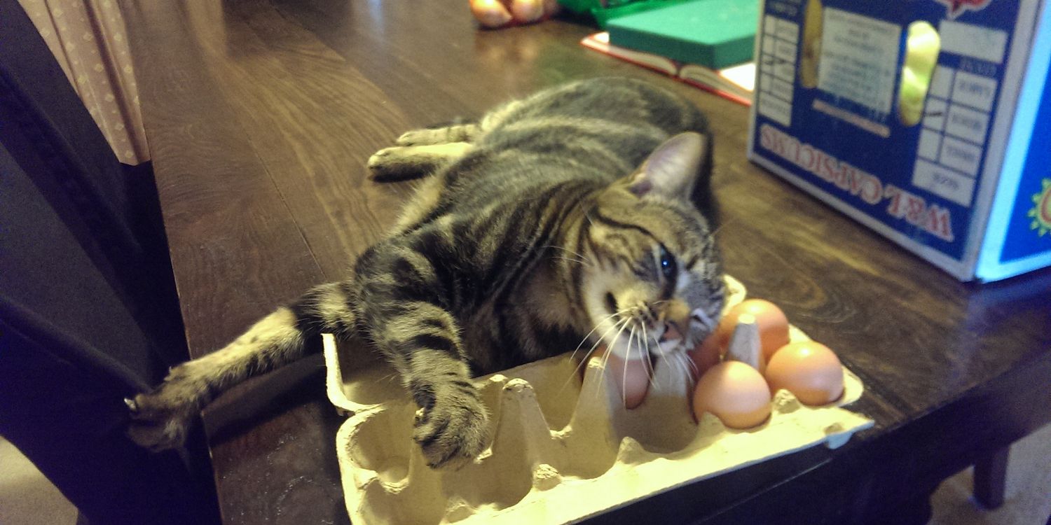 Stede Bonnet's Midlife Crisis banner