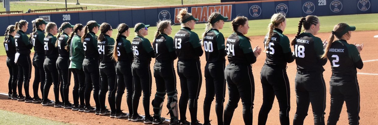 Brittany Baneck banner