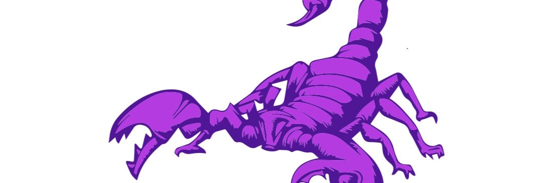 lavozexotic's profile banner image