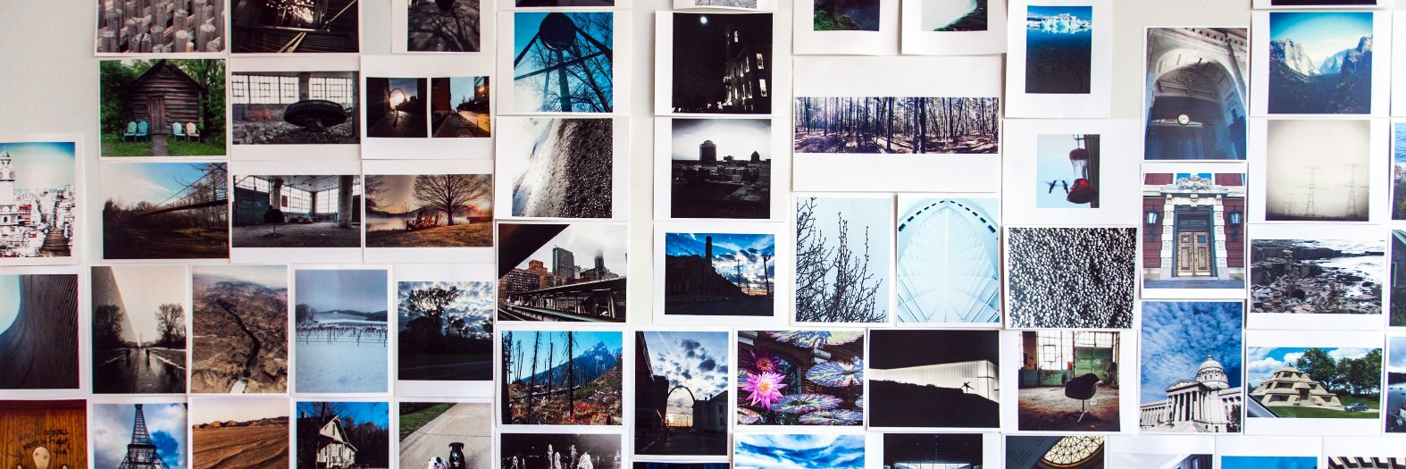 Trivers Architects banner