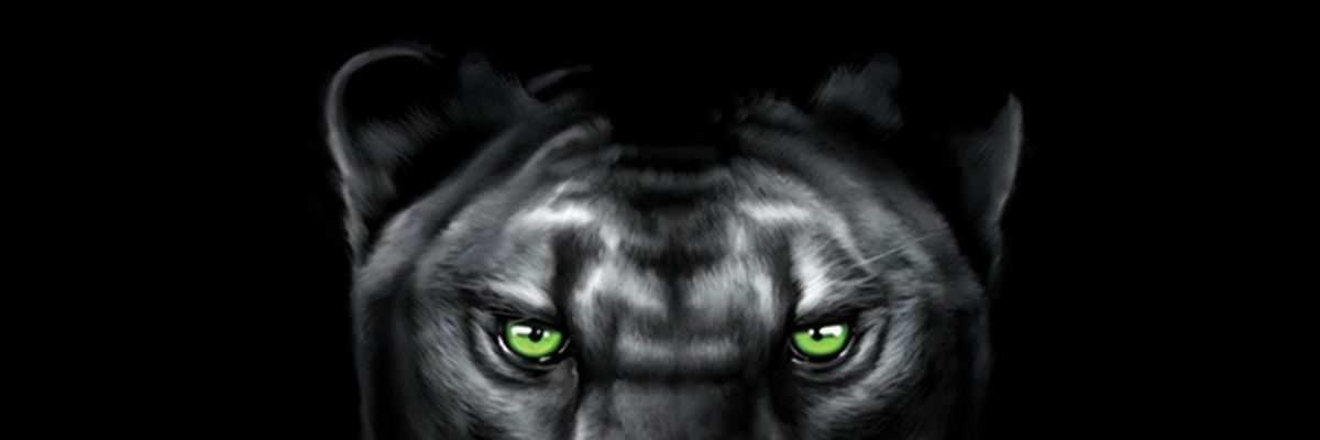 didy_11's profile banner image