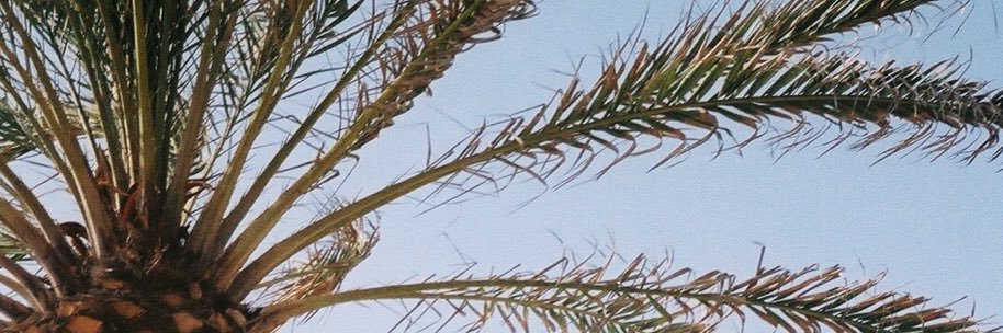 Lauren_Digital's profile banner image
