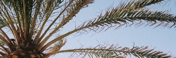 Lauren_Digital Profile Banner