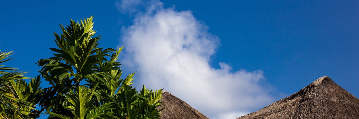 BASIL [ 📸] banner