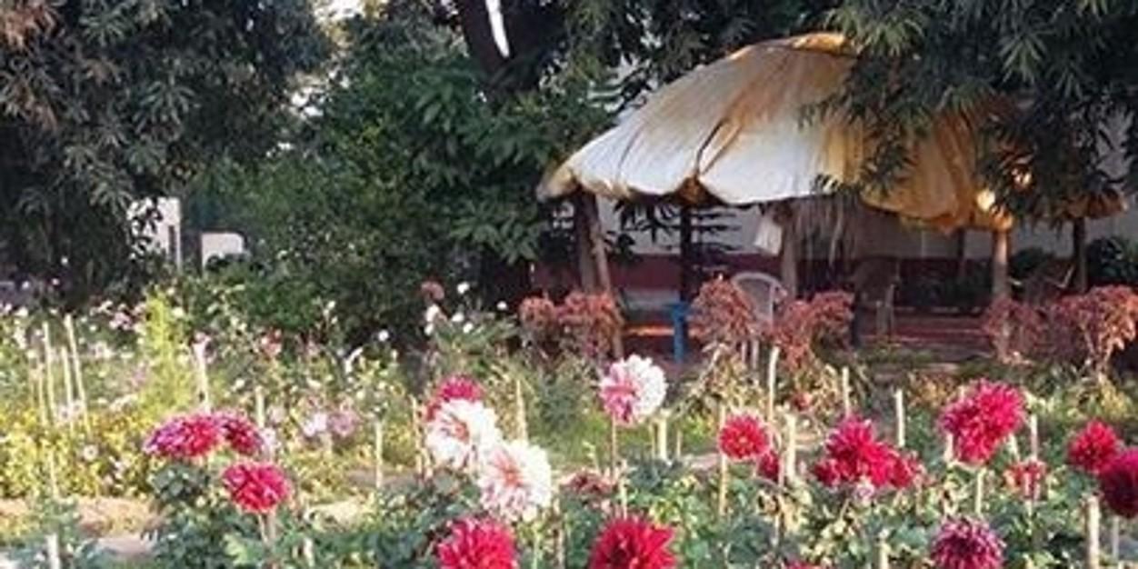 anildixit56's profile banner image