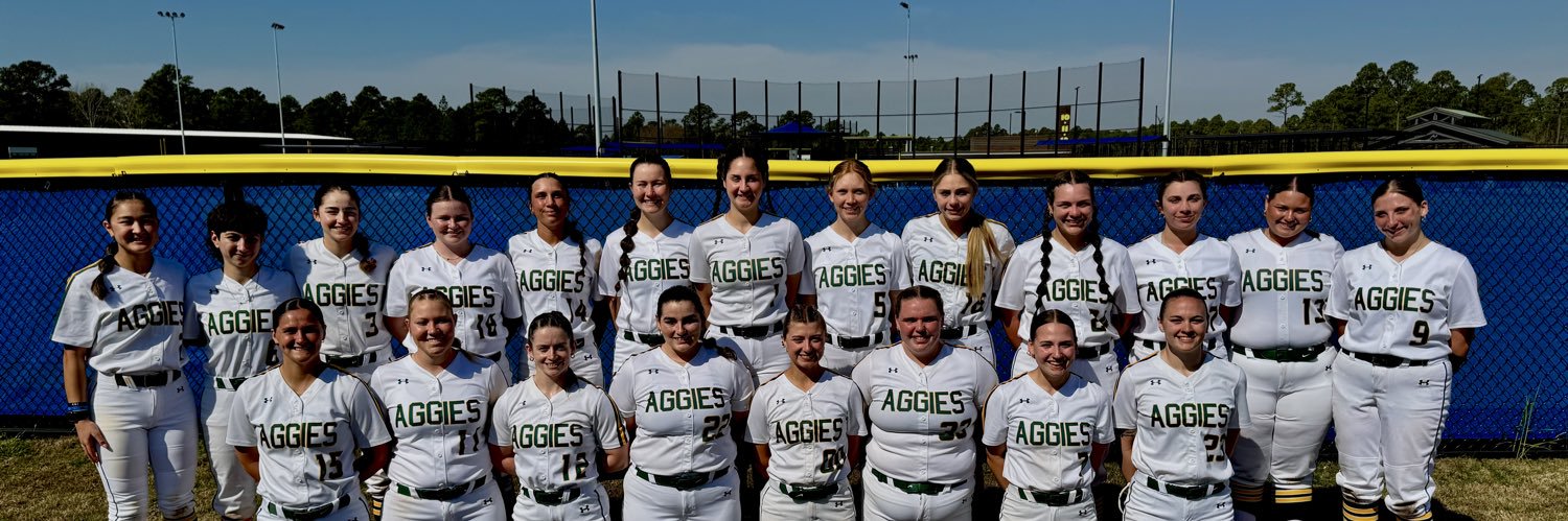 DelVal Softball banner