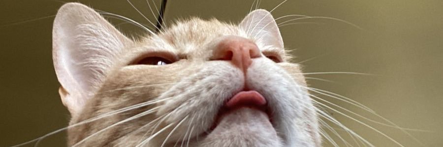 tit0thekid's profile banner image