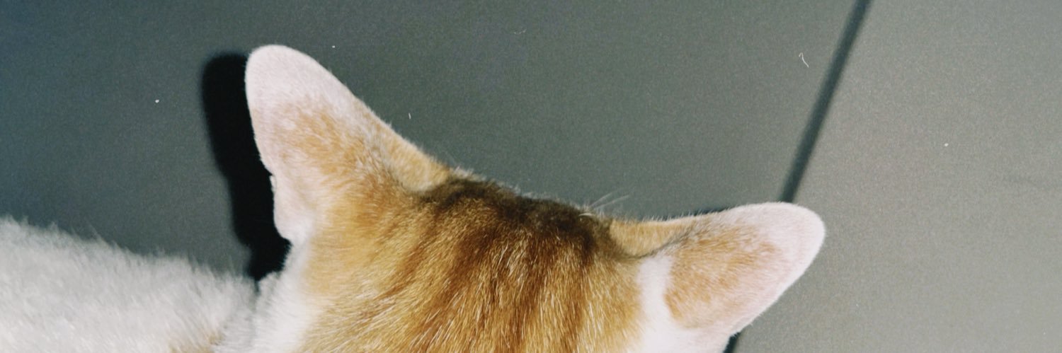 ft_myfav's profile banner image