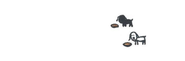 taotao034's profile banner image