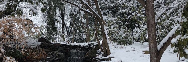 jenna_steins's profile banner image
