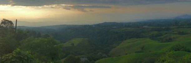 Fernando ROCHA banner