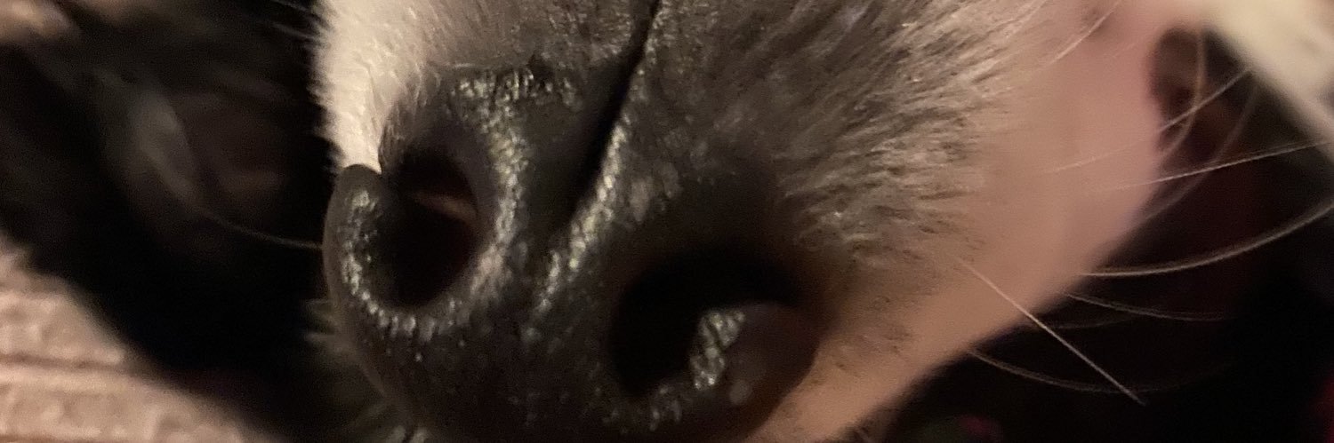 PopsnMurph's profile banner image