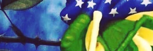 DaBortolini's profile banner image