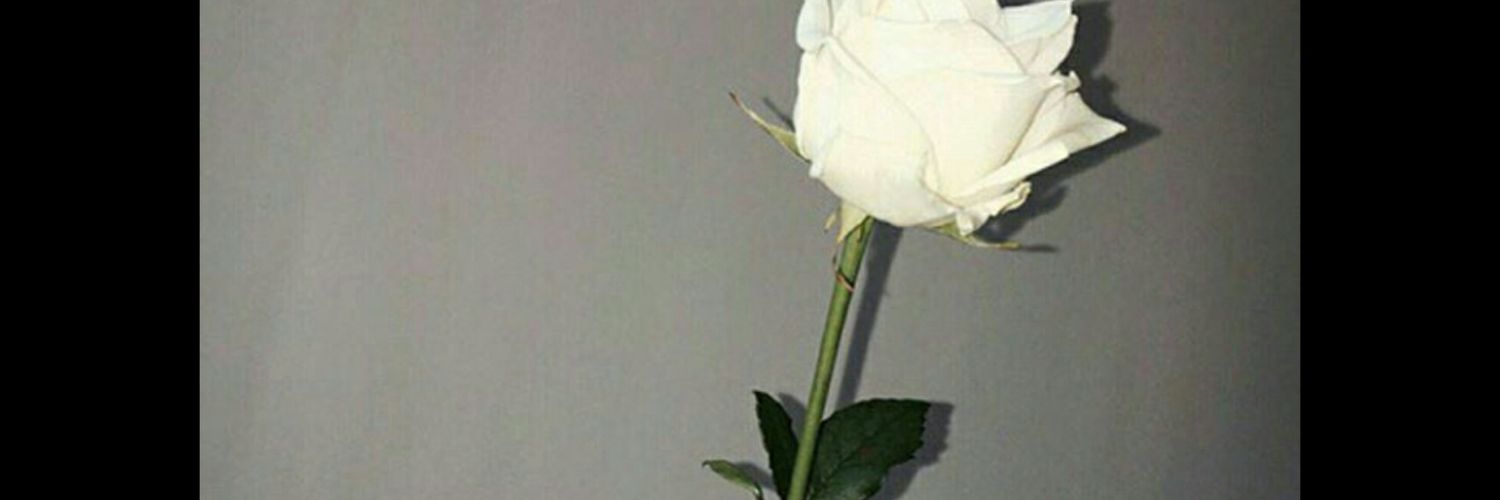 ASSAMANDA_'s profile banner image