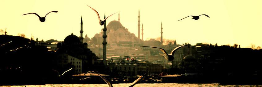 dt_spreader's profile banner image