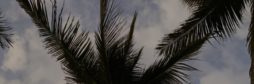 andreabravoga's profile banner image