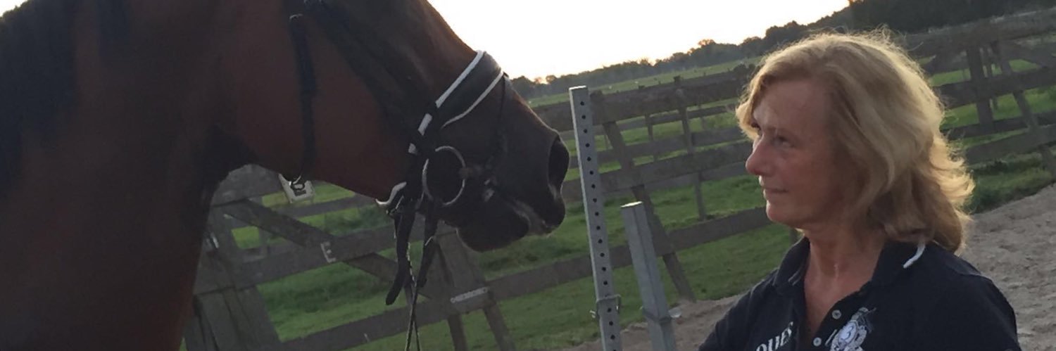 ingevlhorses's profile banner image