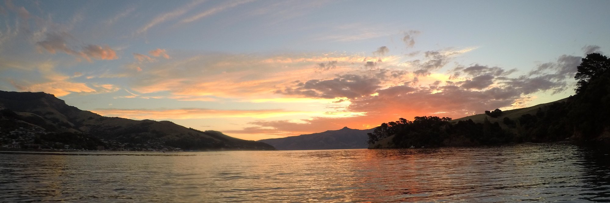 Stephan Hofmann banner