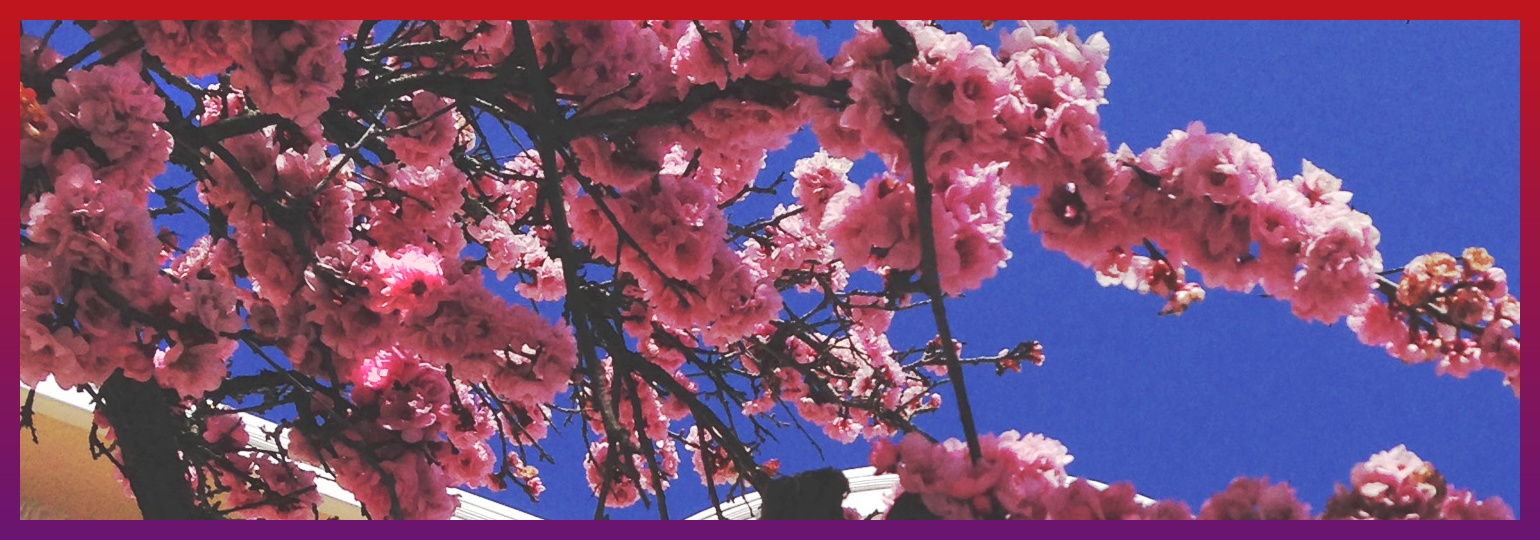 NasBadem's profile banner image