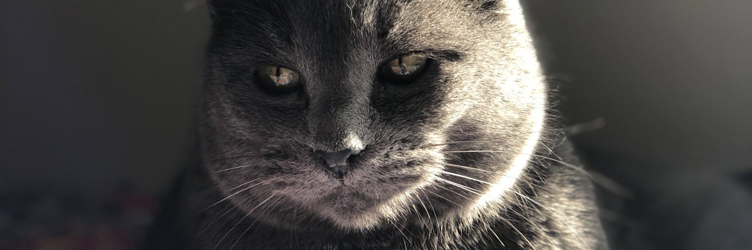 esotericadnd's profile banner image