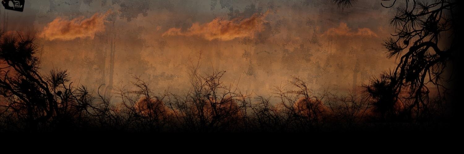 shnkr_k's profile banner image