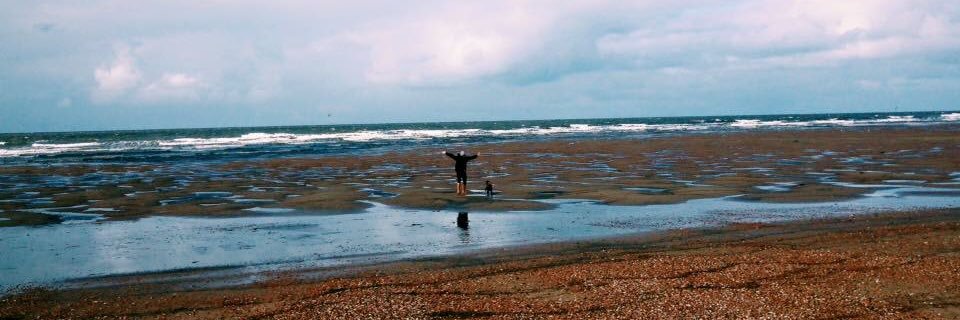 Ella_Holroyd's profile banner image