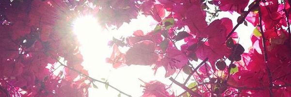 ginnymac81 Profile Banner