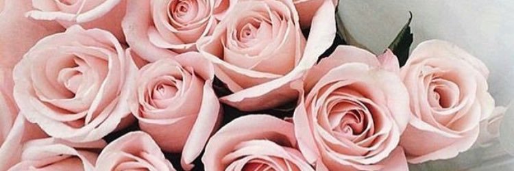 Laurandric's profile banner image
