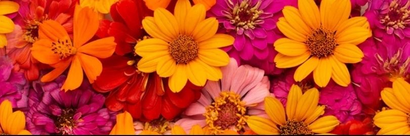 teezyhowze's profile banner image