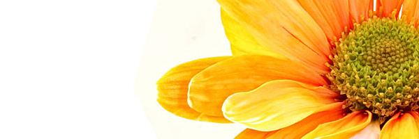 ff_lalala's profile banner image
