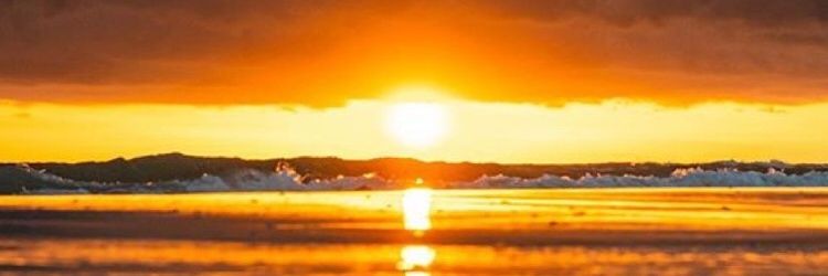 artofwarmedia's profile banner image