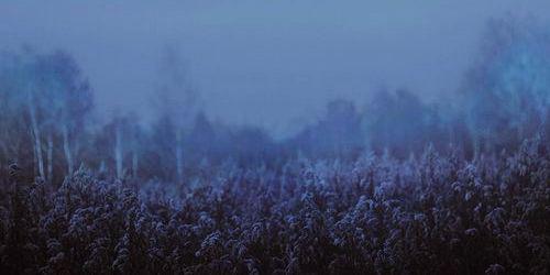 jeydonslovebug's profile banner image