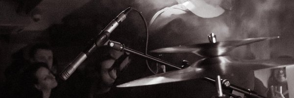 Dittybug_Music Profile Banner