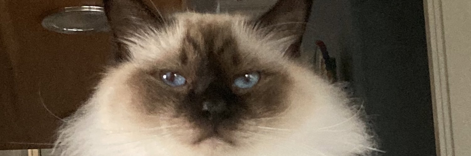 MartinEdberg's profile banner image