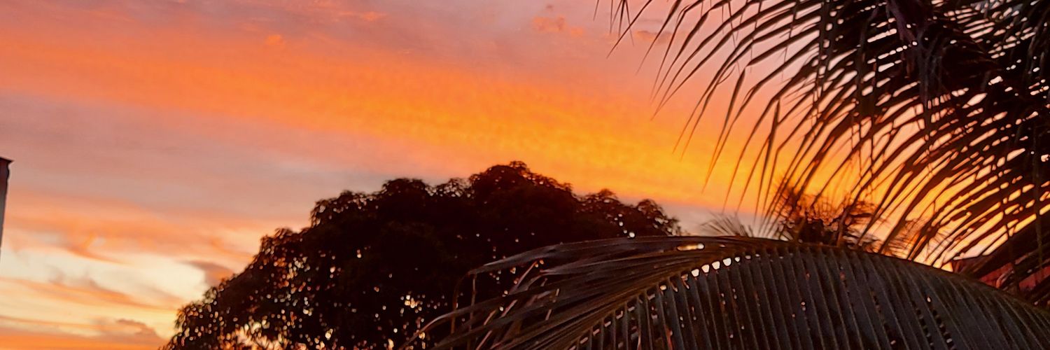 luanaramoos4's profile banner image