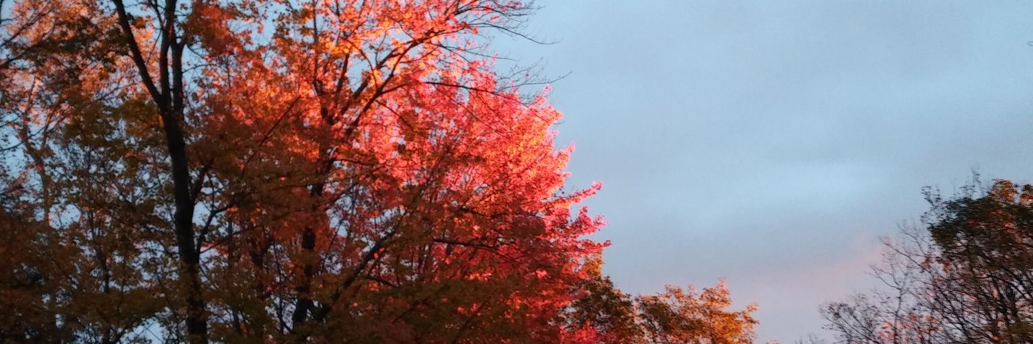 OuelletWilson's profile banner image