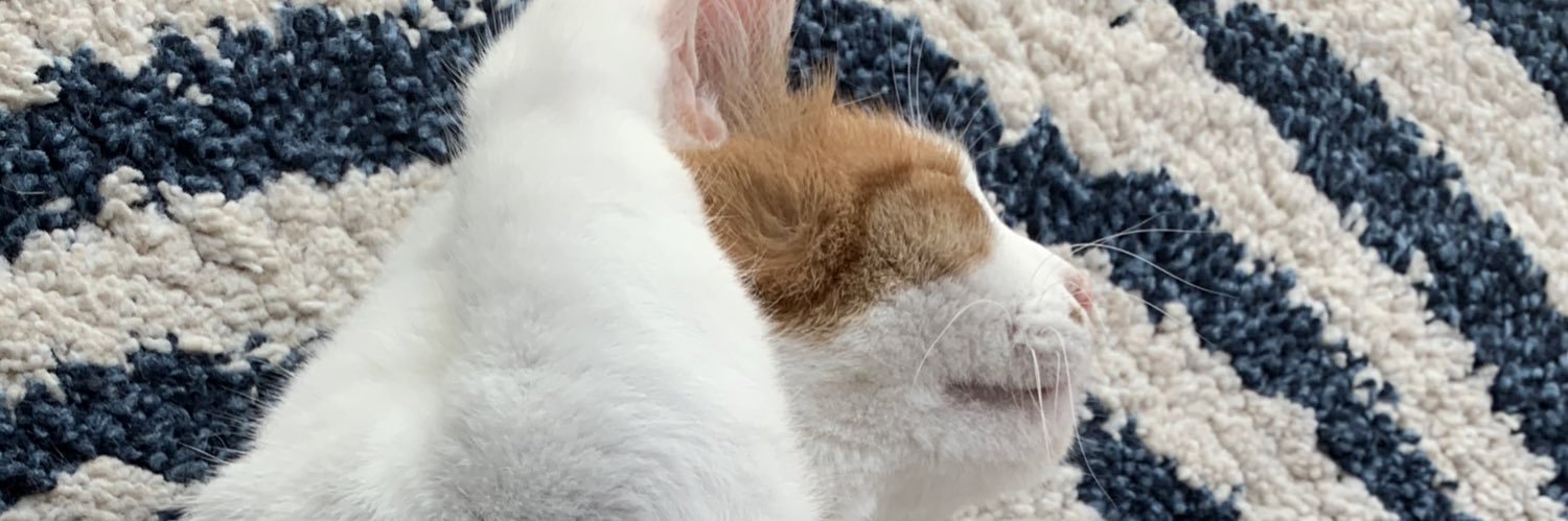 ぺいちゃん 🦈🦈🦈 banner