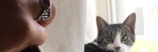 ShannonTacy's profile banner image