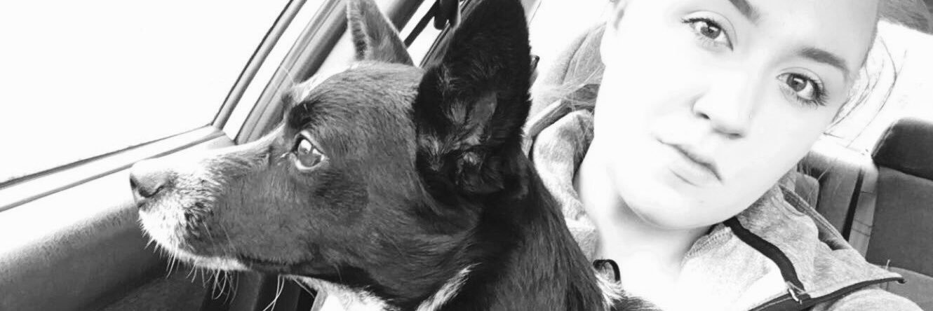 echocks's profile banner image