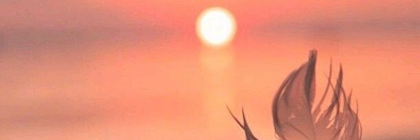 54_abu's profile banner image